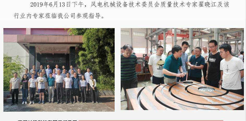 風(fēng)電機(jī)械設(shè)備技術(shù)委員會專家蒞臨我公司參觀指導(dǎo)