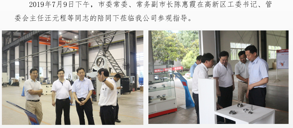 市委常委、常務(wù)副市長(zhǎng)陳惠霞蒞臨我公司參觀指導(dǎo)